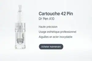 Cartouche Dr Pen A10 42 PIN
