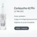 Cartouche Dr Pen A10 42 PIN